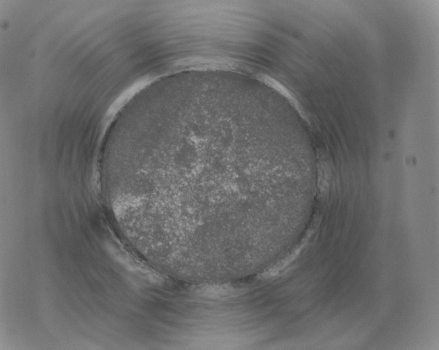 X0000076071074200610152222