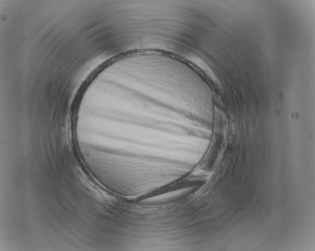 X0000076071076200610152222