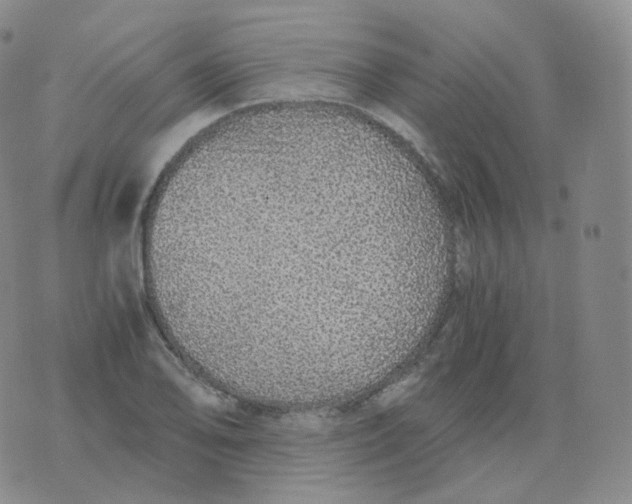 X0000076071078200610152222