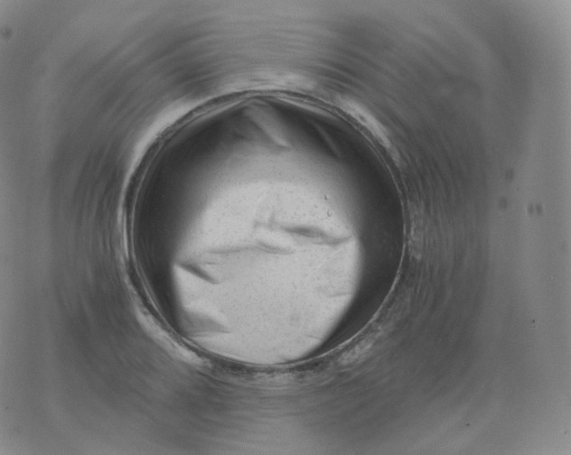 X0000076071080200610152222