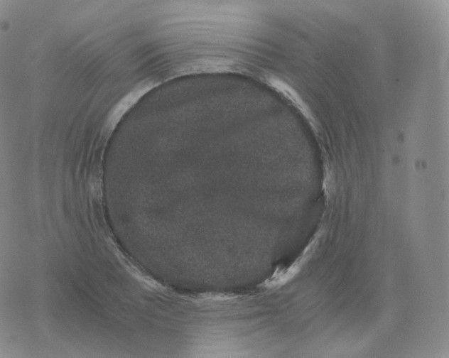 X0000076071081200610152222