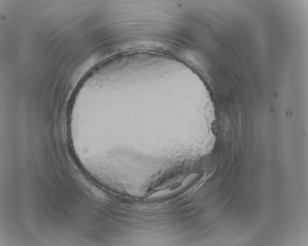 X0000076071083200610152221