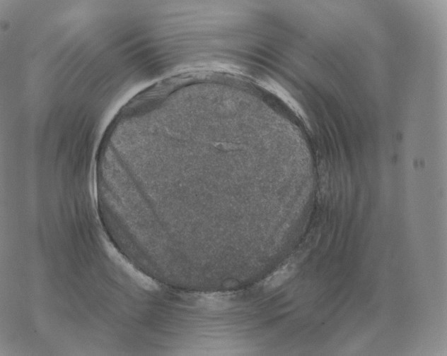 X0000076071084200610152221