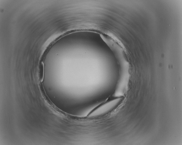 X0000076071085200610152221