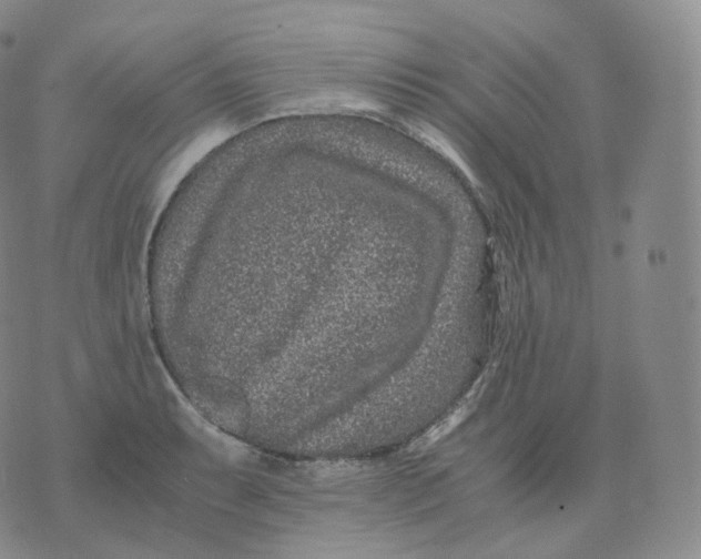 X0000076071087200610152221