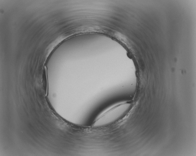 X0000076071089200610152221