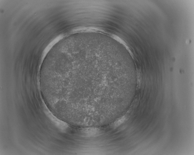 X0000076071090200610152221