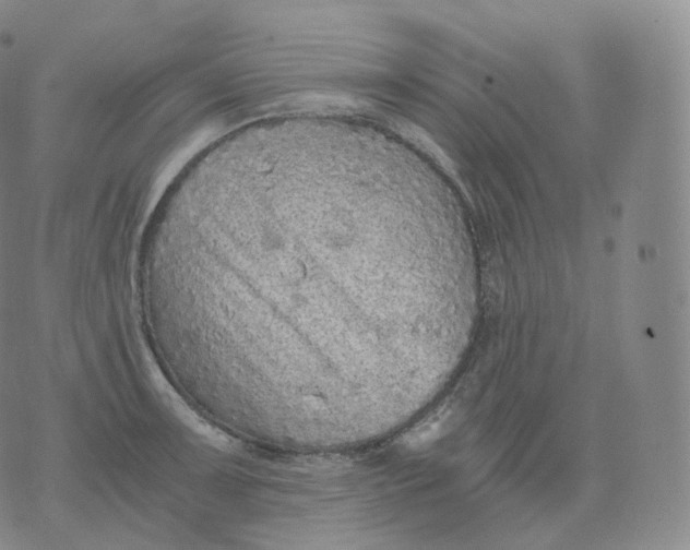 X0000076071091200610152221