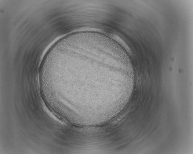 X0000076071092200610152221