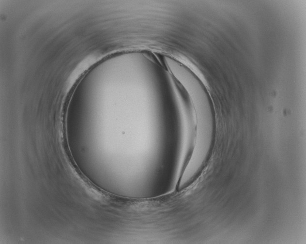 X0000076071093200610152221