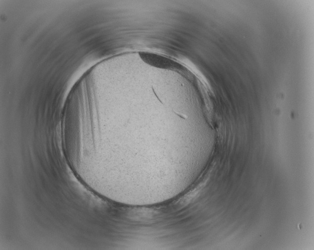 X0000076071100200610152221