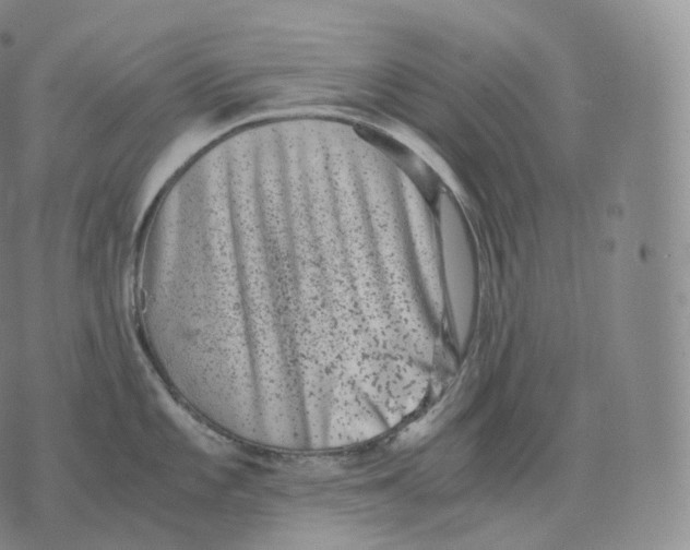 X0000076071101200610152221