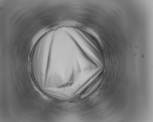 X0000076071103200610152221