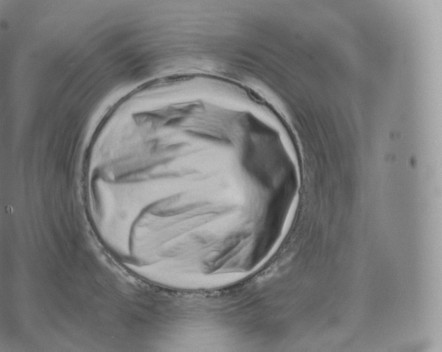 X0000076071104200610152221