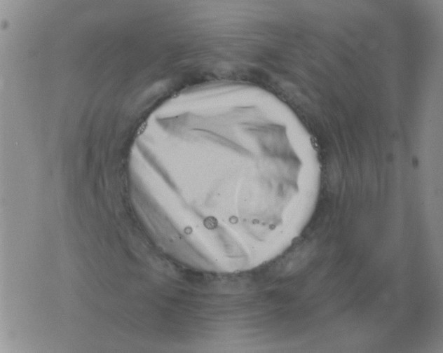 X0000076071105200610152220