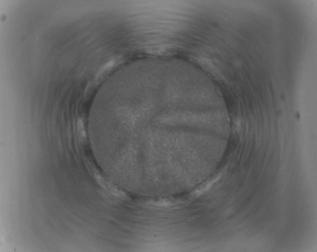 X0000076071106200610152220