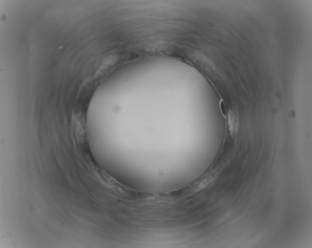 X0000076071107200610152220