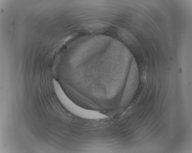 X0000076071108200610152220