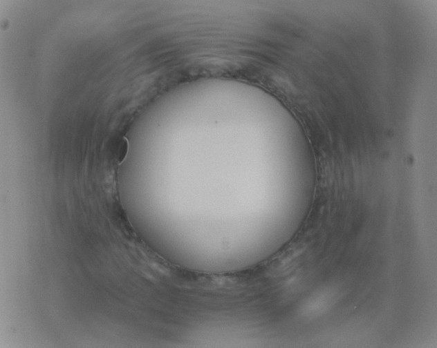 X0000076071109200610152220