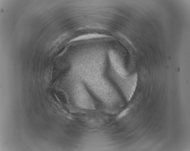 X0000076071110200610152220