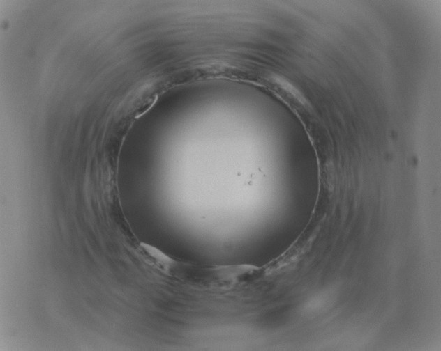 X0000076071111200610152220