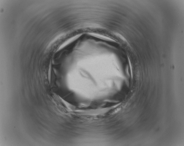 X0000076071112200610152220