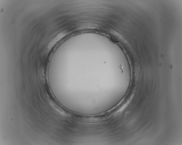 X0000076071113200610152220