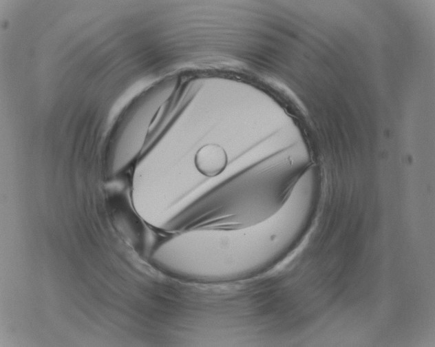 X0000076071114200610152221