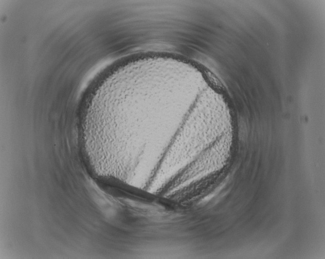 X0000076071115200610152221