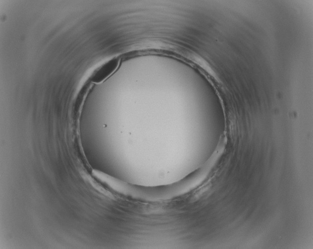 X0000076071116200610152221