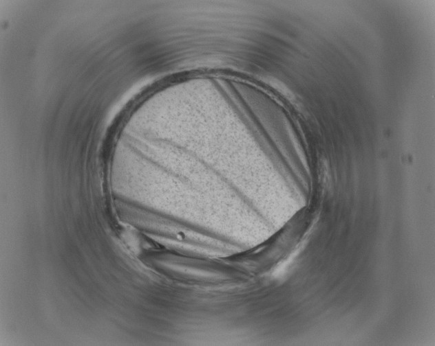 X0000076071118200610152221