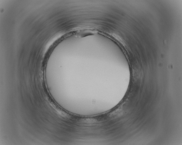 X0000076071119200610152221