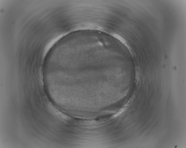 X0000076071120200610152221