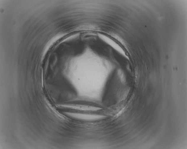 X0000076071123200610152221