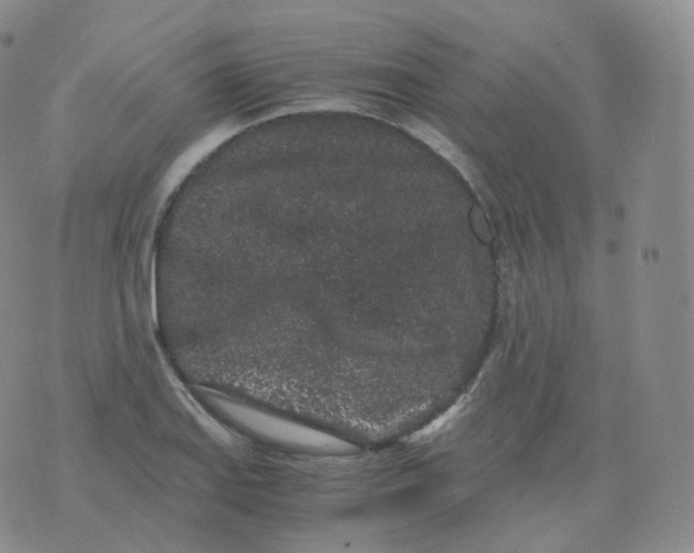 X0000076071127200610152221