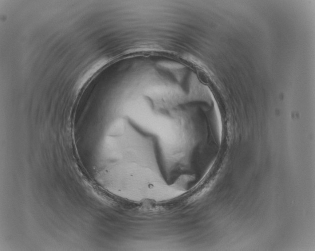 X0000076071129200610152221