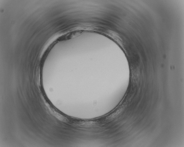 X0000076071131200610152221