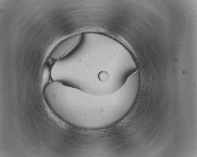 X0000076071132200610152221