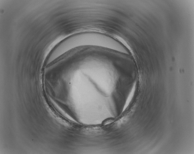 X0000076071133200610152221