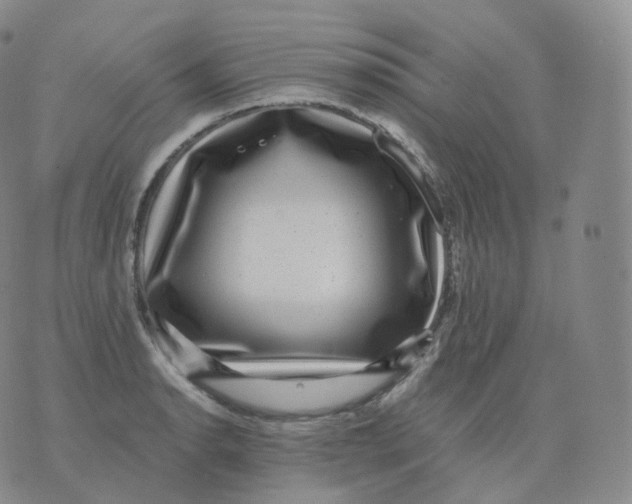 X0000076071134200610152221