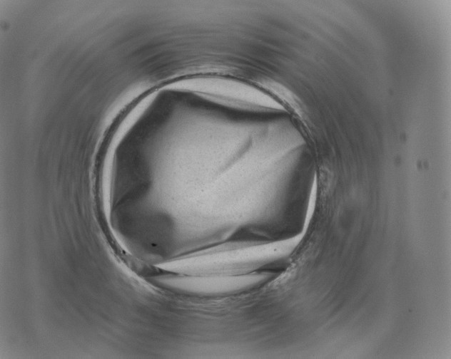 X0000076071135200610152221