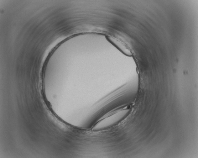 X0000076071136200610152221