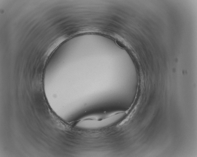 X0000076071137200610152221