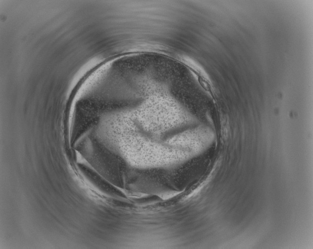 X0000076071138200610152221