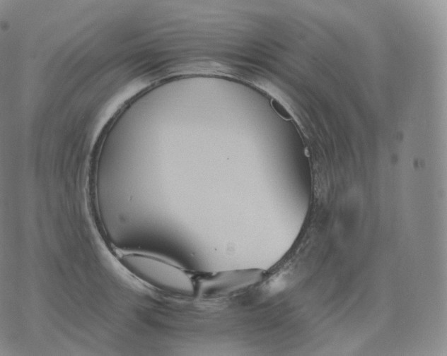 X0000076071139200610152221