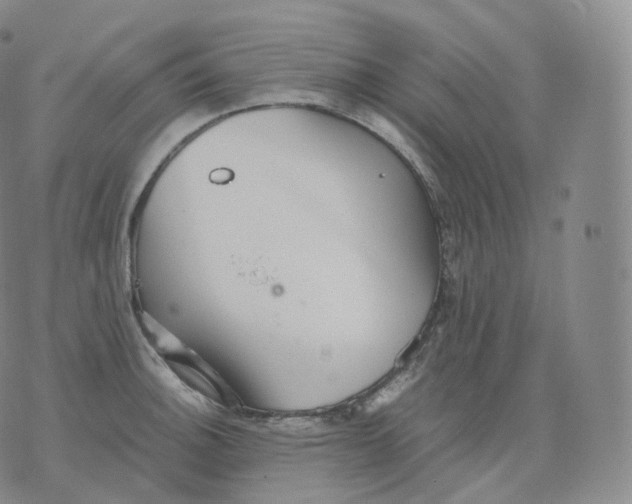 X0000076071140200610152221