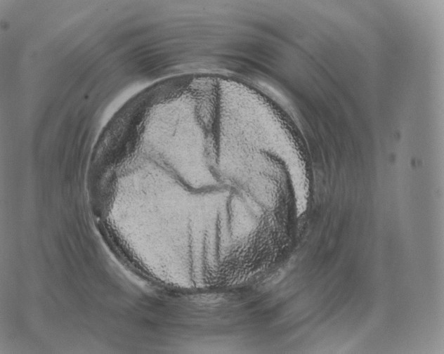 X0000076071141200610152221