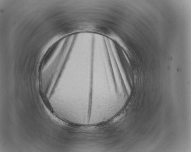 X0000076071143200610152221