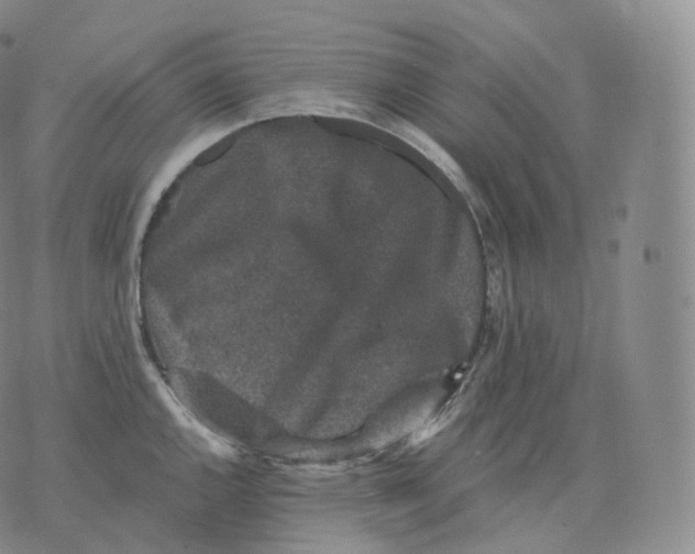 X0000076071144200610152221