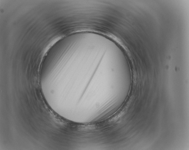 X0000076071145200610152221